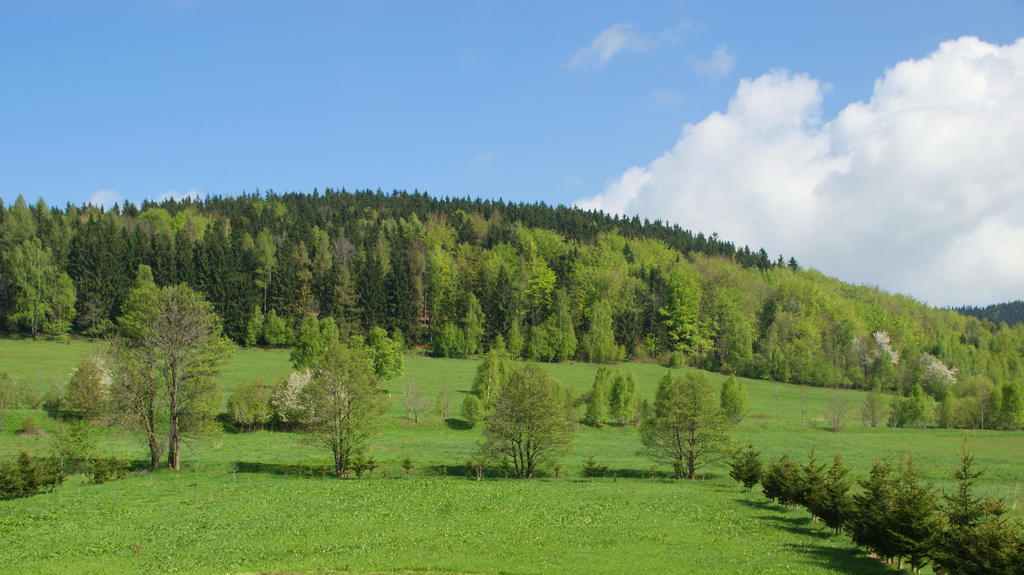 Villa La Val, Karkonosze Szarocin Eksteriør bilde