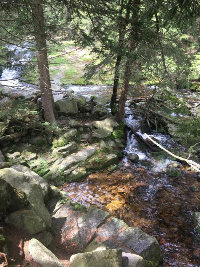 Villa La Val, Karkonosze Szarocin Eksteriør bilde